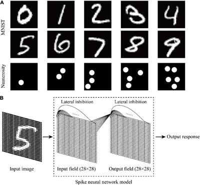 Recognition ability of untrained neural networks to symbolic numbers